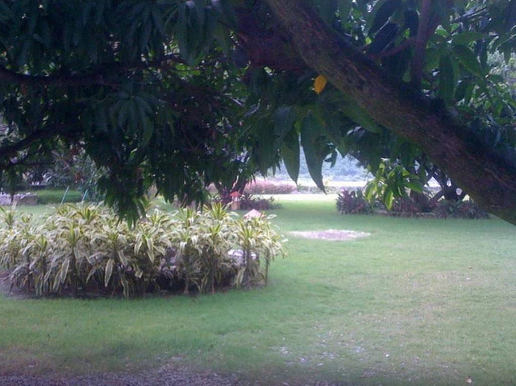 Dewdrop Mango Bloom Resort Nainital Habitación foto